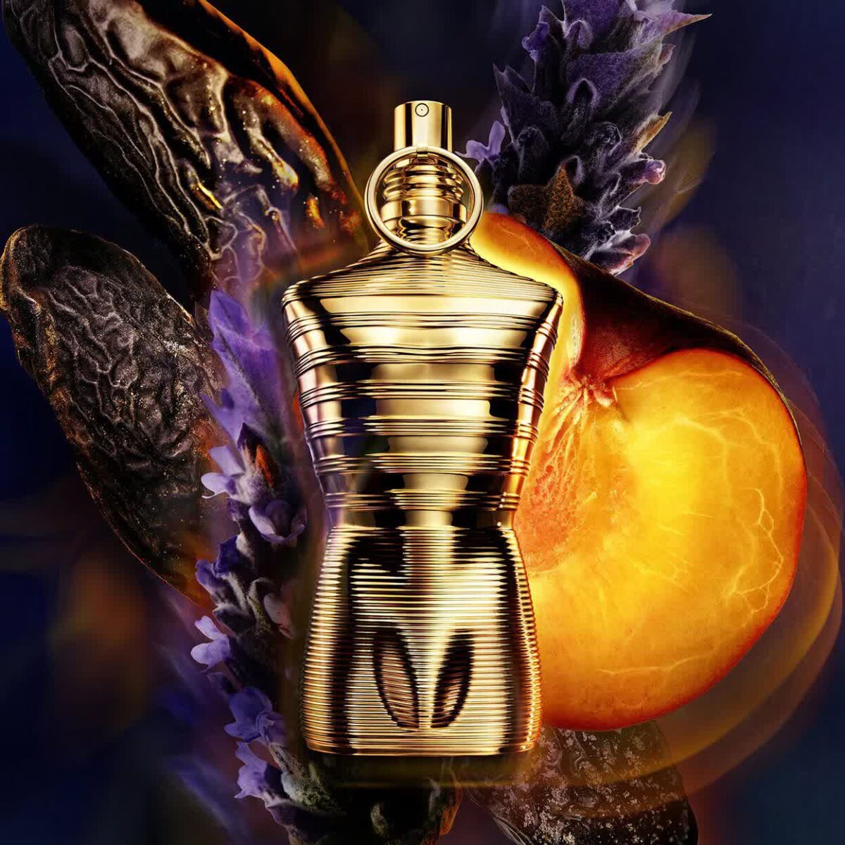 Le Male Elixir Absolu Parfum